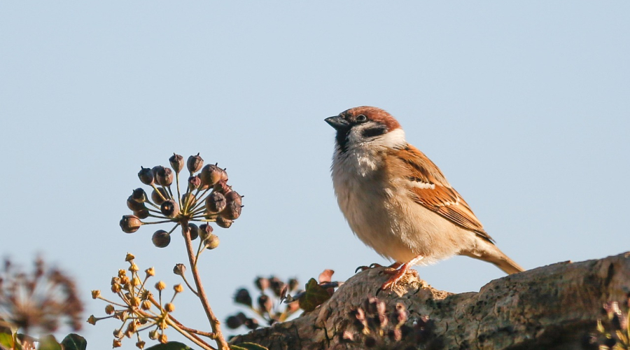 A Comprehensive Guide to Copyright Registration in Vietnam