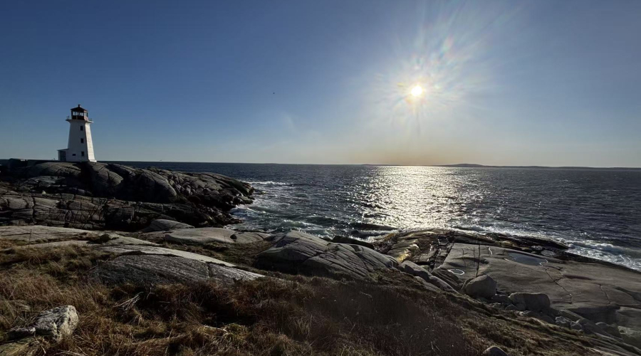 How to renew your Patent or Design in Canada?