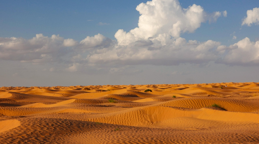 How to renew your Patent or Design in Tunisia?