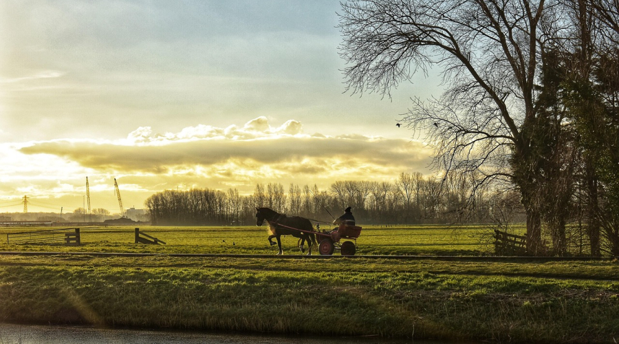 How to renew your Patent or Design in Netherlands?